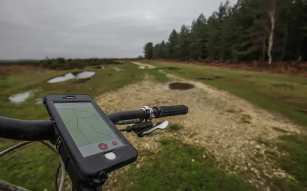 A Strava Art ‘Riding the Pony’ Challenge in the New Forest